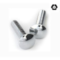 DIN603 Stainless Steel Mushroom Head, Square Neck Bolt